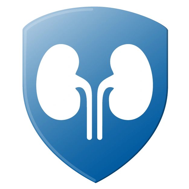 Icon of kidneys inside a shield
