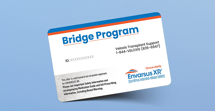 bridge-program